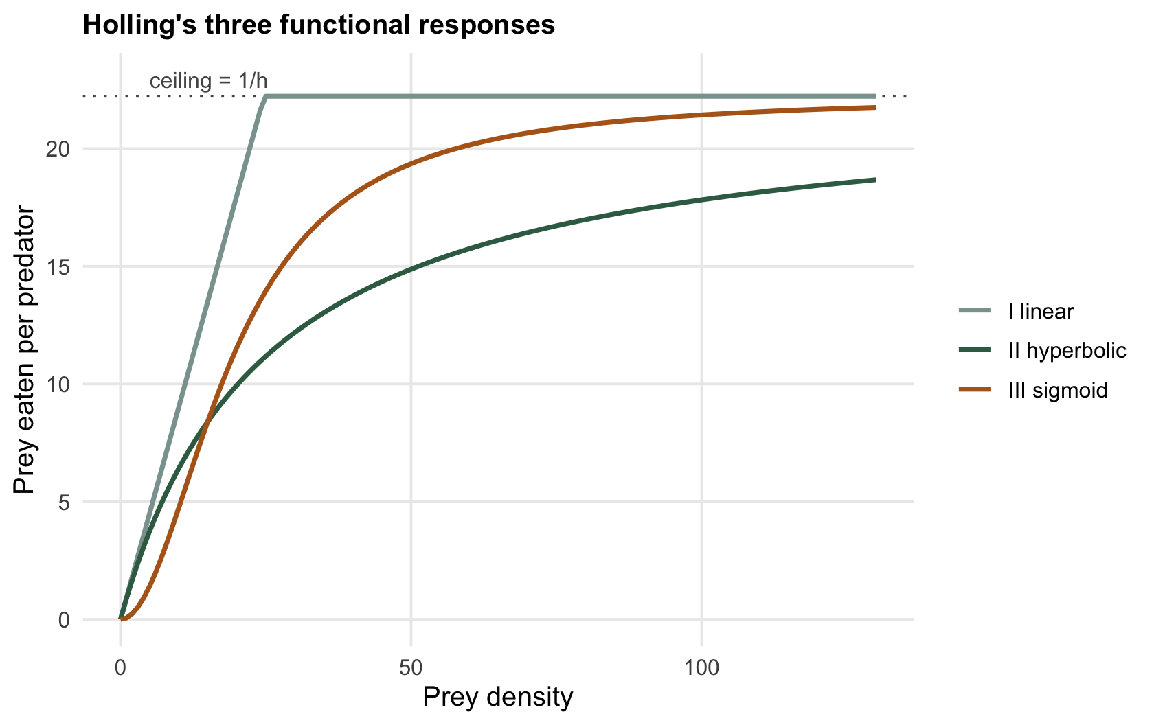 Three curves of intake against prey density: a straight grey line to a plateau, a green hyperbola bending to a plateau, and an ochre S-shaped curve reaching the same plateau.