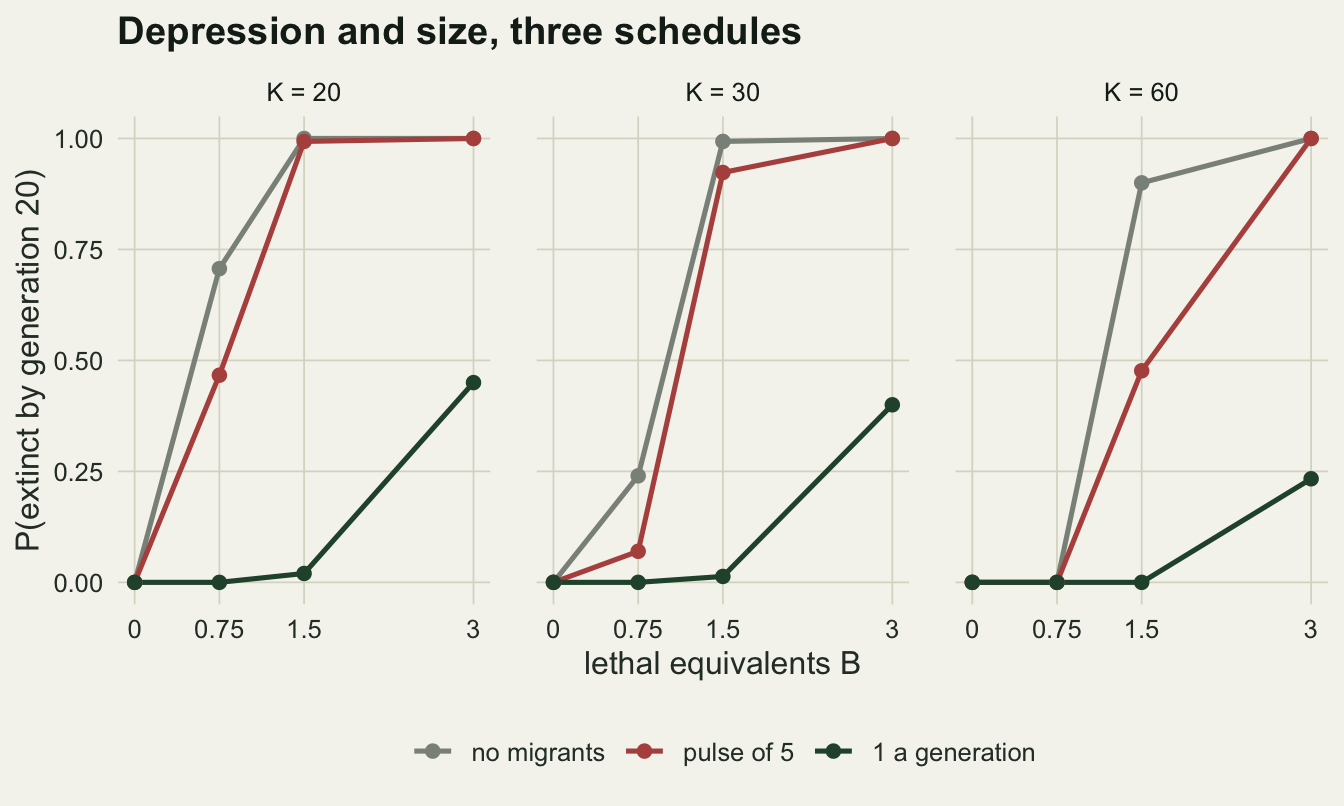 Three line-chart panels on warm off-white paper for K = 20, 30 and 60, each plotting probability of extinction by generation 20 against lethal equivalents B at 0, 0.75, 1.5 and 3. Grey lines for no migrants and red lines for a pulse of 5 start at zero and rise to one or nearly one (red about 0.92 at K = 30) by B = 1.5 at K = 20 and 30; at K = 60 they stay at zero at 0.75 and reach about 0.90 and 0.48 at 1.5 before both reach one at 3. At 0.75 the grey line is near 0.71 at K = 20 and 0.24 at K = 30, the red line near 0.47 and 0.07. Dark green lines for one migrant a generation stay near zero up to B = 1.5 and rise to about 0.45, 0.40 and 0.23 at B = 3.