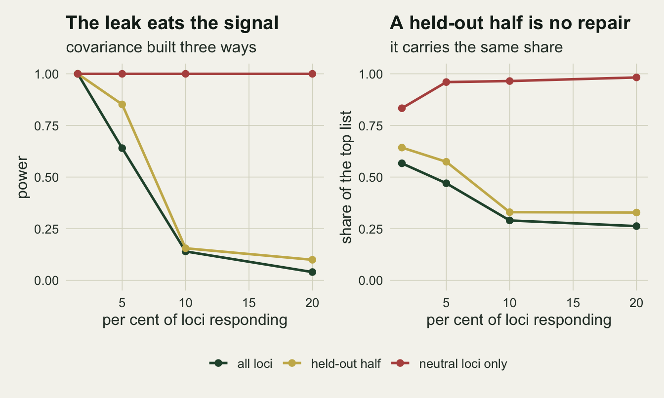 Two panels on warm off-white paper with one shared legend below, both plotting against the percentage of loci responding to the environment from about one and a half to twenty. In the power panel a red line for a covariance from neutral loci only runs flat along the top at one, while a dark green line for all loci and a gold line for the held-out half start together at one and fall to about four hundredths and a tenth by twenty per cent, the gold line above the green one from five per cent onwards. In the precision panel the red line rises from about eight tenths to near one, while the dark green and gold lines fall from about six tenths to about three tenths, the gold again slightly above the green.