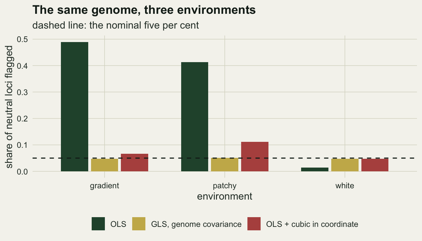 A grouped column chart on warm off-white paper. Three groups on the horizontal axis are labelled gradient, patchy and white; the vertical axis is the share of neutral loci flagged, from zero to about half. In the gradient and patchy groups a tall dark green ordinary least squares column reaches about a half and two fifths, while the gold generalised least squares column and the red coordinate column are short. In the white group all three columns are short. A dashed horizontal line sits at five hundredths.