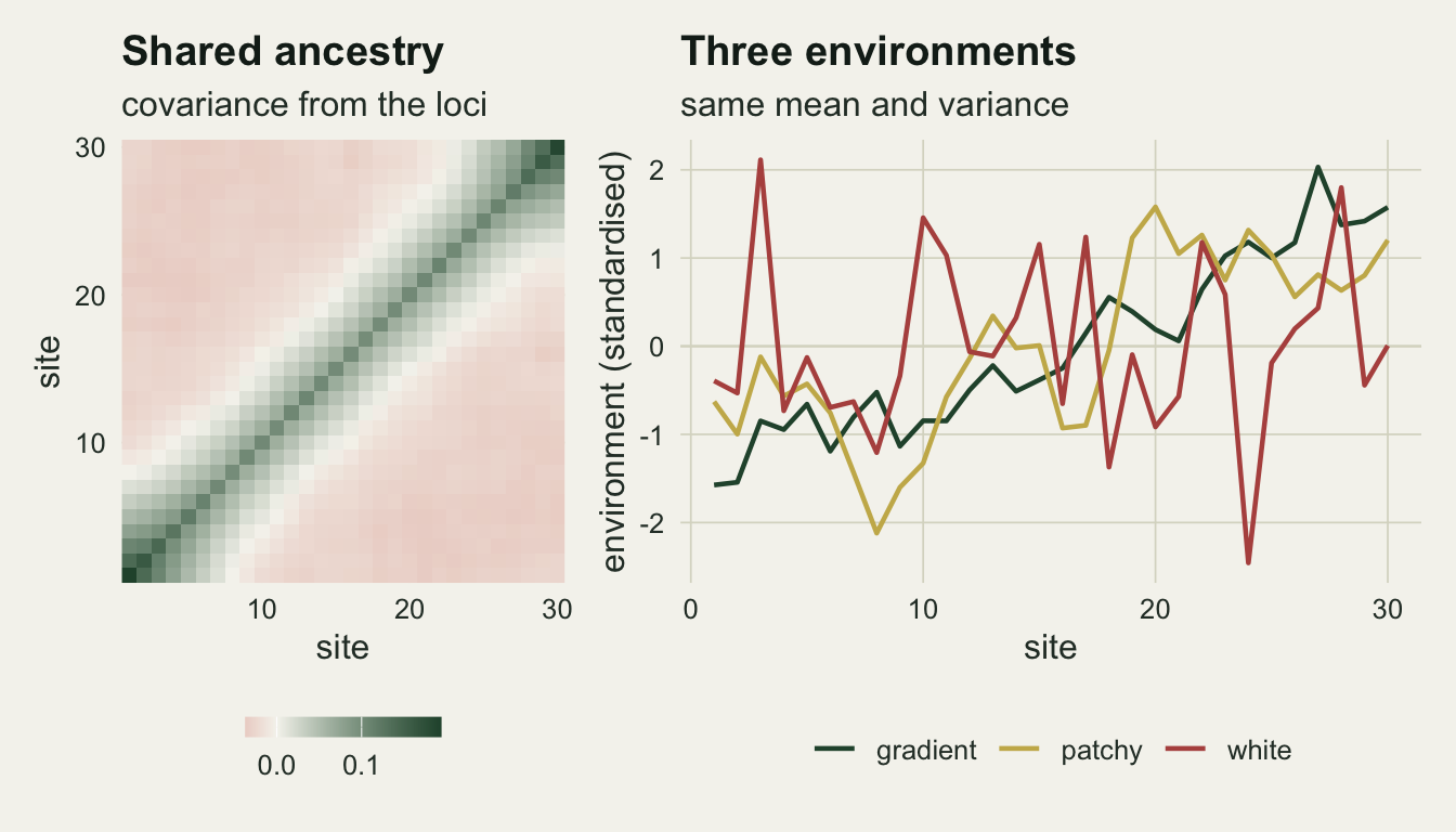 Two panels on warm off-white paper. The left panel is a thirty by thirty tile map of the covariance between sites: a dark green band runs along the diagonal and fades within about five sites of it, and the two off-diagonal corners are a broad pale pink, meaning sites far apart covary negatively. The right panel plots three standardised environments against site number from one to thirty; a dark green gradient line rises unevenly from about minus one and a half to about one and a half, a gold patchy line wanders with long excursions above and below zero, and a red white-noise line jumps between neighbouring sites over the whole range.