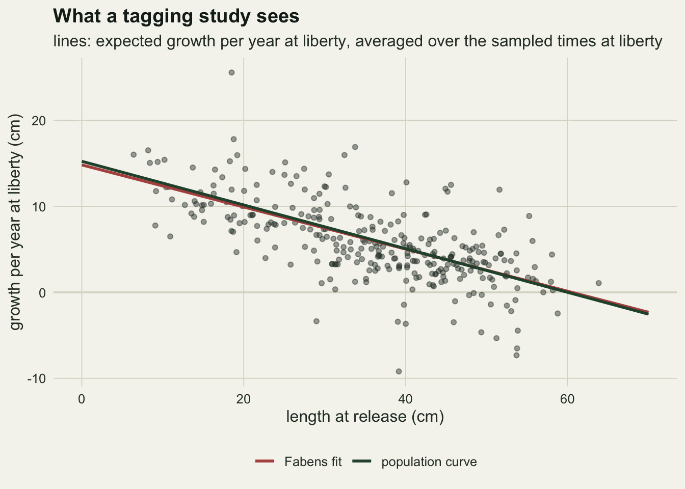 A scatter of about three hundred grey points of growth per year at liberty against length at release, from about 5 to 64 cm. The points fall from around 15 cm per year for small fish to near zero for fish around 55 to 60 cm, with a wide scatter that includes several negative values between 30 and 60 cm. A green line for the population curve and a rust line for the Fabens fit run almost on top of each other, from about 15 cm per year at zero length down through zero near 60 cm.