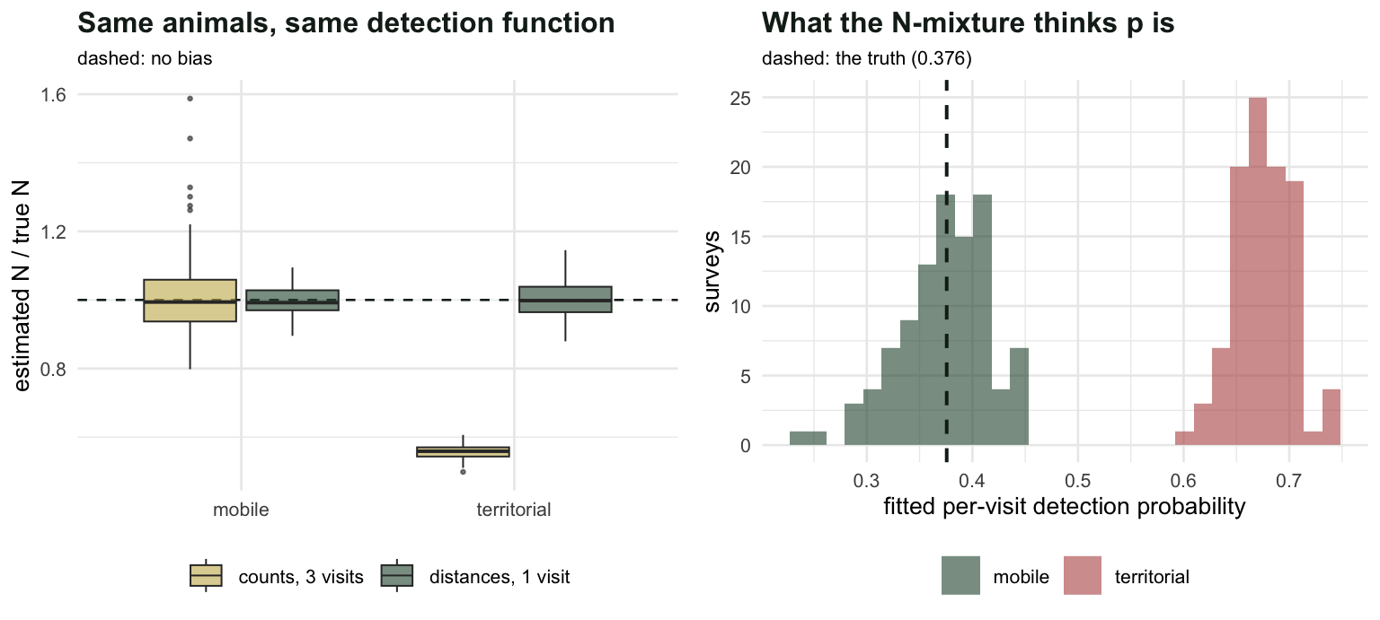 Left panel shows abundance ratios: distance sampling sits on one in both worlds, while the N-mixture sits on one in the mobile world and near 0.56 in the territorial world. Right panel shows the fitted detection probability, correct in the mobile world and inflated in the territorial world.