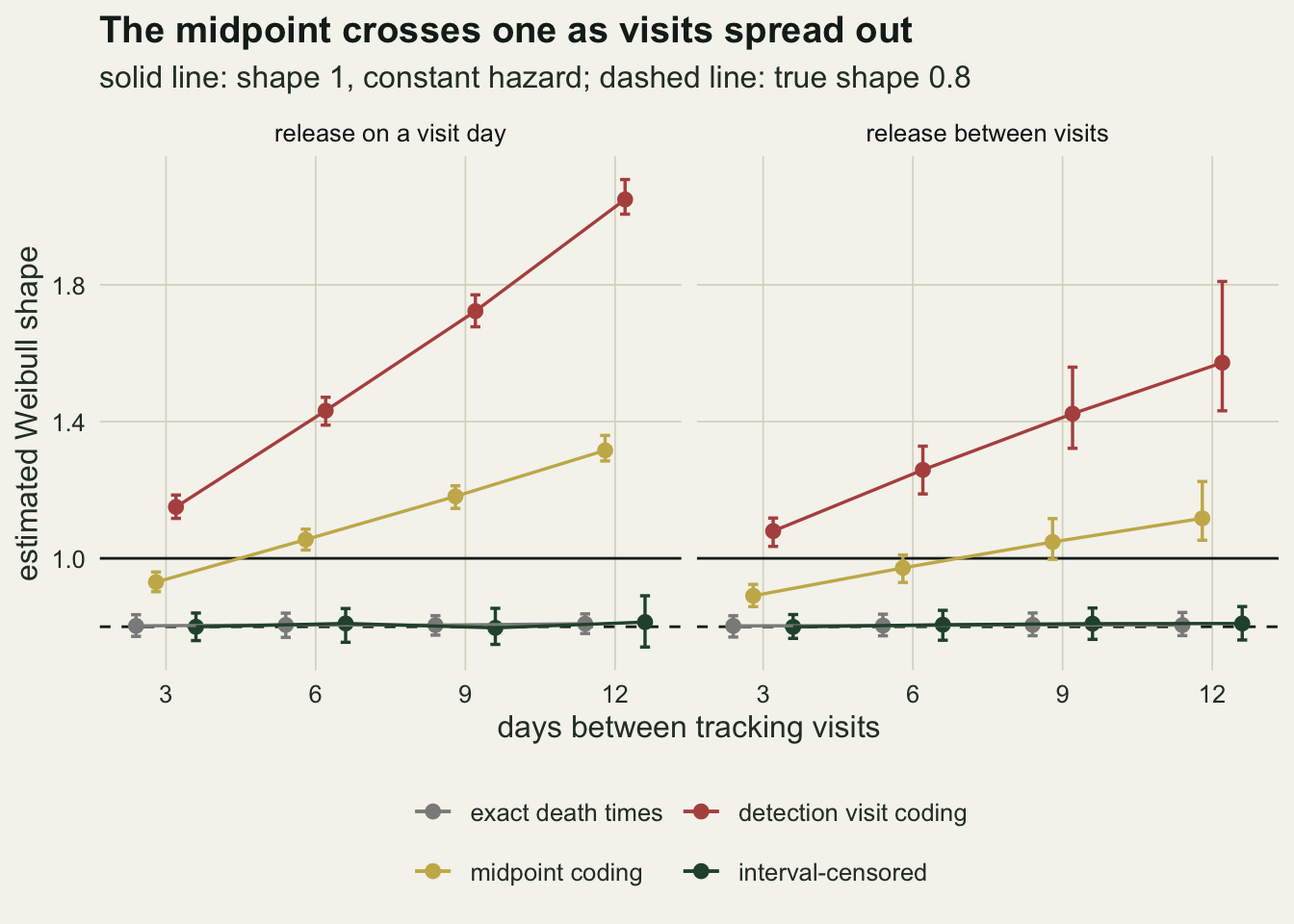 Two panels of estimated Weibull shape against days between tracking visits, three, six, nine and twelve, titled release on a visit day and release between visits. A solid horizontal line marks shape 1 and a dashed line marks the true shape 0.8. In both panels grey points for exact death times and dark green points for the interval-censored fit sit on the dashed line at every interval. Gold midpoint points rise with the interval: on the left from about 0.93 at three days to about 1.32 at twelve, crossing the solid line between three and six; on the right from about 0.89 to about 1.12, crossing between six and nine. Red detection points are above the solid line everywhere, rising to about 2.05 on the left and about 1.57 on the right, with wider bars on the right.