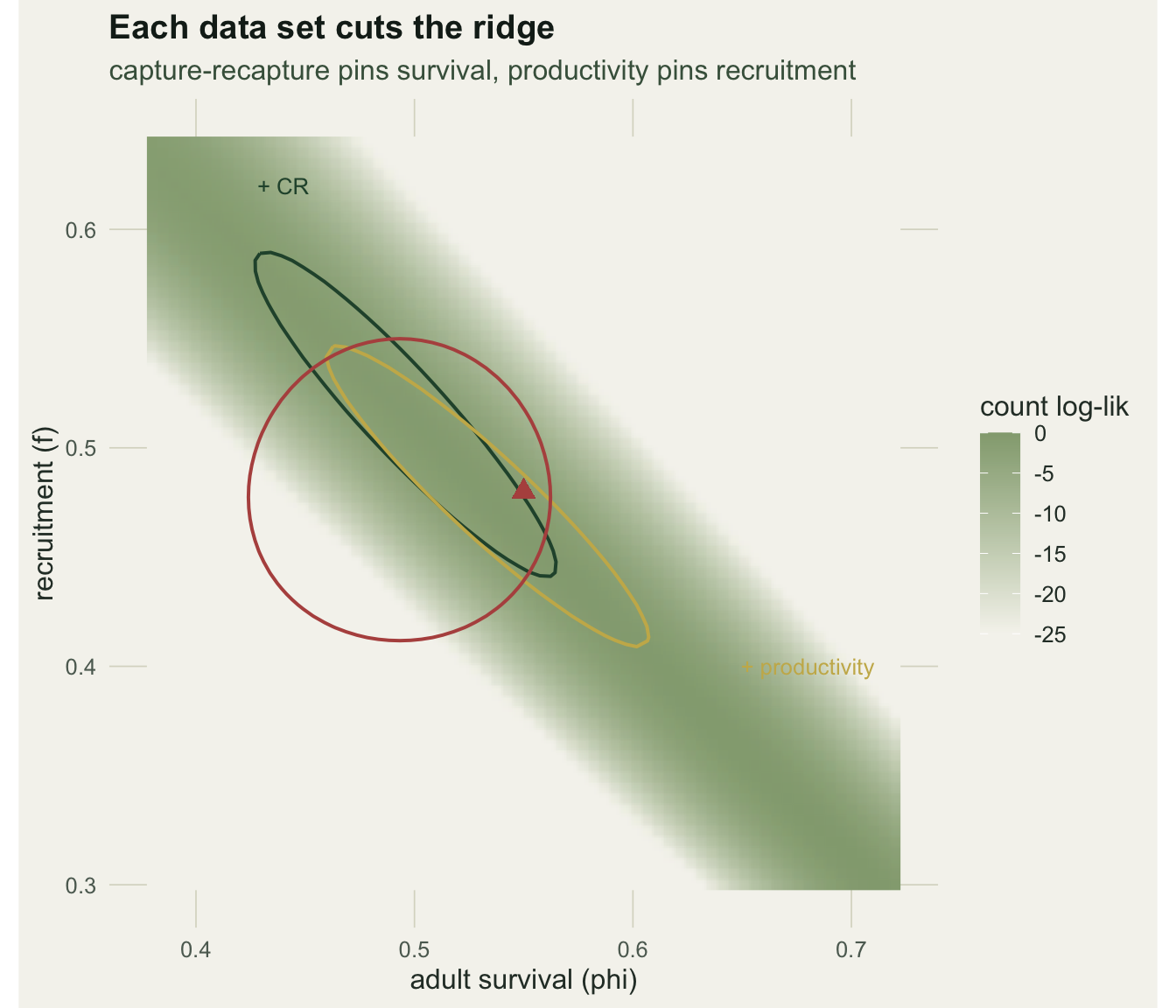 A shaded square over survival and recruitment with a bright diagonal ridge; a near-vertical contour band and a near-horizontal contour band cross it, and a small closed contour sits where they intersect near a rust triangle marking the truth.