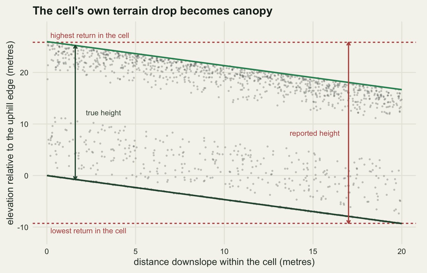 A cloud of small dark points on a warm off-white panel, falling from left to right in a band. Two parallel straight lines slope down across the panel from upper left to lower right, one along the bottom of the point cloud and one along its top, marking the true ground and the true canopy top. Two horizontal dashed lines run right across the panel, one at the level of the lowest point and one at the level of the highest. A vertical double headed arrow on the right hand side spans between the two dashed lines and is labelled reported height; a visibly shorter vertical arrow on the left spans the constant distance between the two sloping lines and is labelled true height.