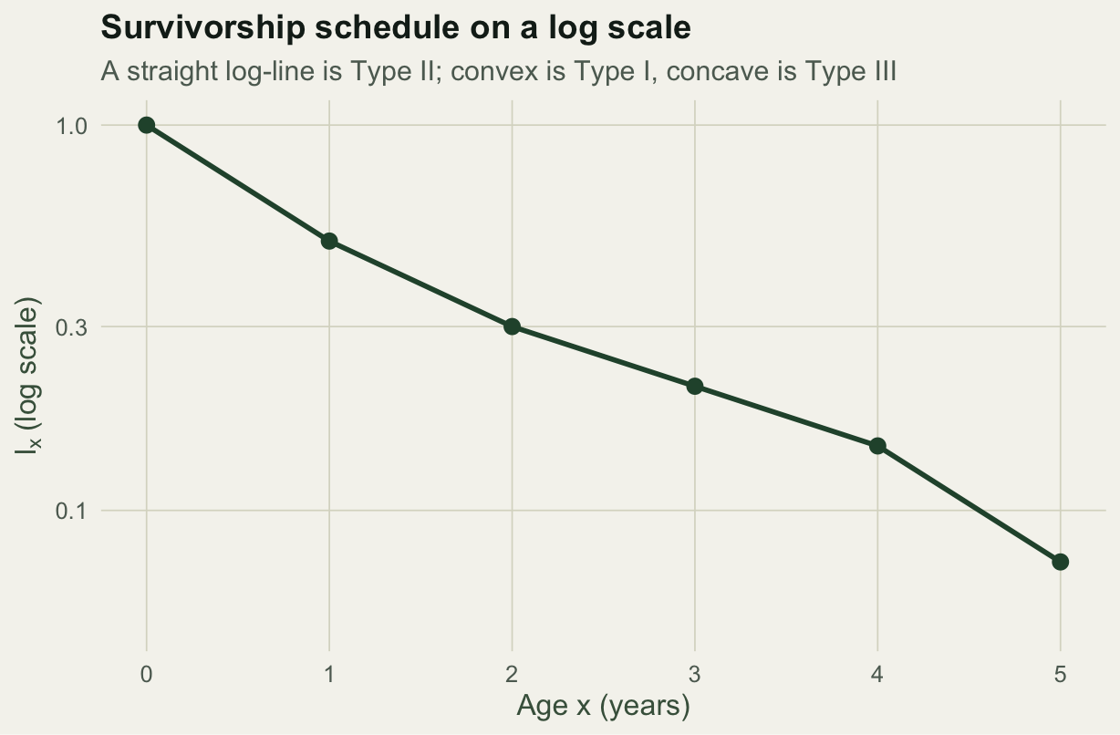Line plot of survivorship lx against age on a logarithmic y axis, curving downward from one to about 0.07, concave in shape.
