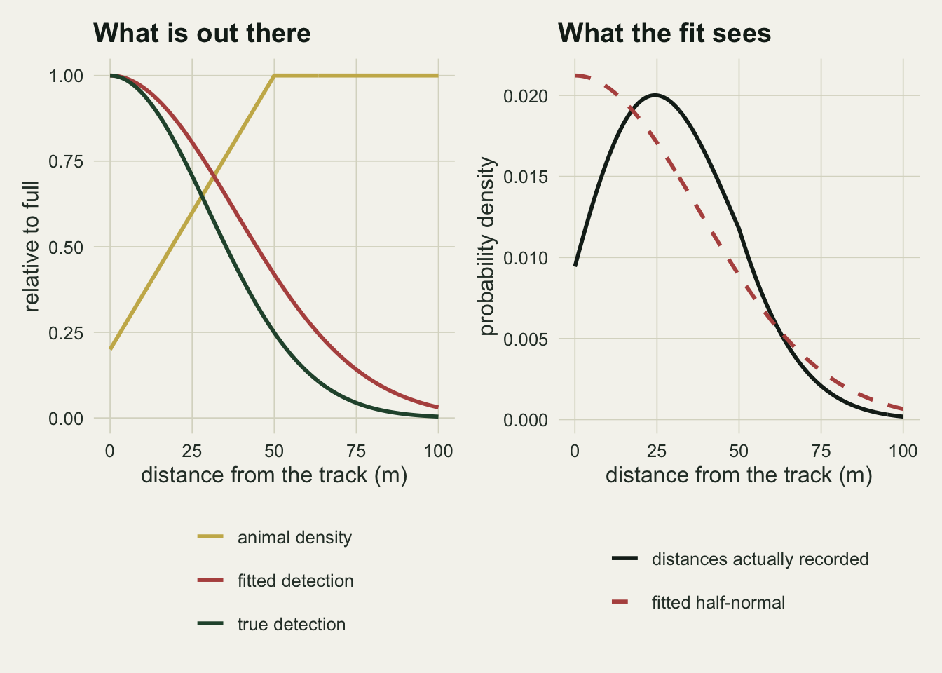 Two panels on warm off-white paper, both with distance from the track from 0 to 100 m on the horizontal axis. Left: a gold line for animal density rises straight from 0.2 at the track to 1 at 50 m and stays flat; a dark green true detection curve falls from 1 to near zero by 100 m; a rust fitted detection curve starts at 1 but falls more slowly, reaching about 0.4 at 50 m where the true curve is at 0.25. Right: a black curve for the recorded distances starts near 0.01 at the track, rises to a peak of 0.02 at 25 m, bends at 50 m and falls to near zero at 100 m; a dashed rust half-normal starts highest at the track, just above 0.02, and falls steadily, lying below the black curve between about 20 and 60 m and above it beyond.