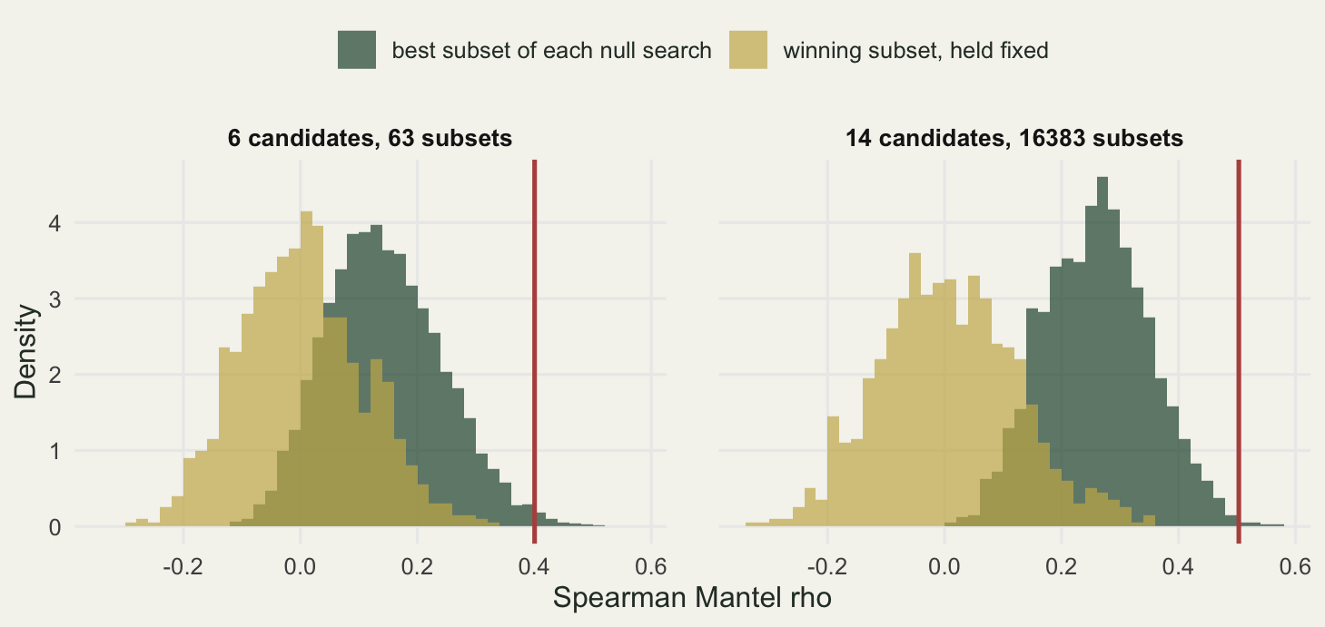 Two panels of overlapping histograms of Spearman Mantel rho. Left, 6 candidates and 63 subsets: a gold histogram for the winning subset held fixed runs from about -0.3 to 0.35 and peaks near 0; a dark green histogram for the best subset of each null search sits to its right, peaking near 0.13 and thinning out by about 0.5; a red vertical line at 0.40 lies in the far right tail of the green and past the gold. Right, 14 candidates and 16383 subsets: the gold histogram again peaks near 0, the green one sits further right, peaking near 0.27, and the red line at 0.50 has only a few thin green bars beyond it.
