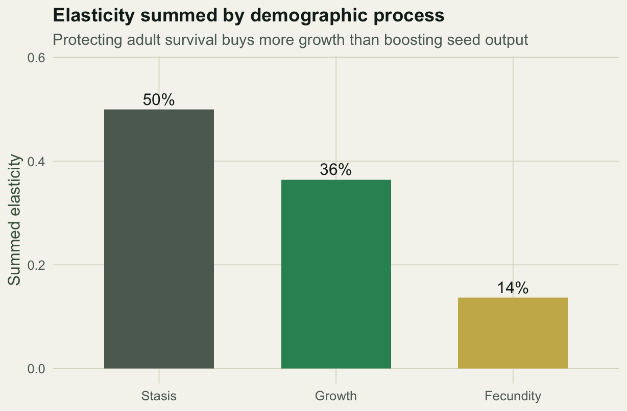 Bar chart of summed elasticity by demographic process: stasis about fifty percent, growth about thirty-six percent, fecundity about fourteen percent.