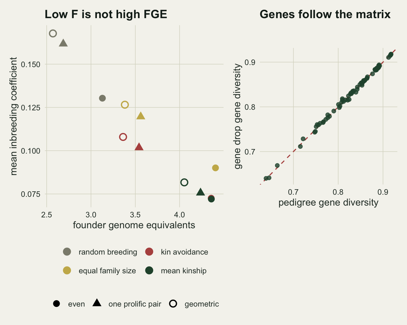 Two panels on warm off-white paper. Left, titled Low F is not high FGE: twelve coloured markers (the red and dark green even founder circles overlap) plot mean inbreeding coefficient, from about 0.07 to 0.17, against founder genome equivalents, from about 2.5 to 4.4. Filled circles are even founders, triangles one prolific pair, open circles a geometric first cohort; grey is random breeding, gold equal family size, red kin avoidance, dark green mean kinship. The grey markers sit top left. The gold filled circle sits far right at about 4.4 and 0.09, while the red and dark green filled circles overlap just to its left at about 4.36 and 0.07. For the uneven starts the red markers sit below the gold ones at the same founder genome equivalents, and the dark green markers sit lower right of both. Right, titled Genes follow the matrix: dark green points for gene drop gene diversity against pedigree gene diversity, from about 0.63 to 0.92, lie along a dashed red identity line.