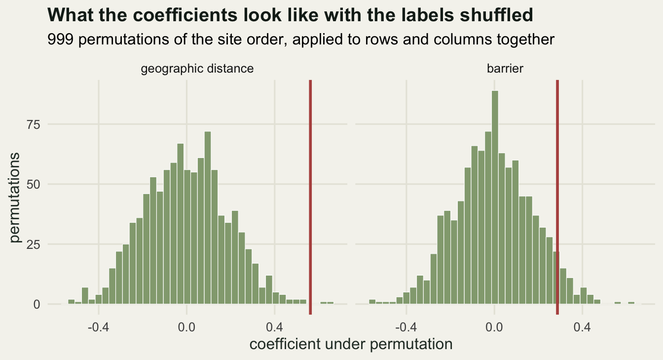 Two histograms of permuted coefficient values centred on zero, each with a vertical clay line marking the observed estimate; the geography line is far outside its null and the barrier line is just inside the upper tail.