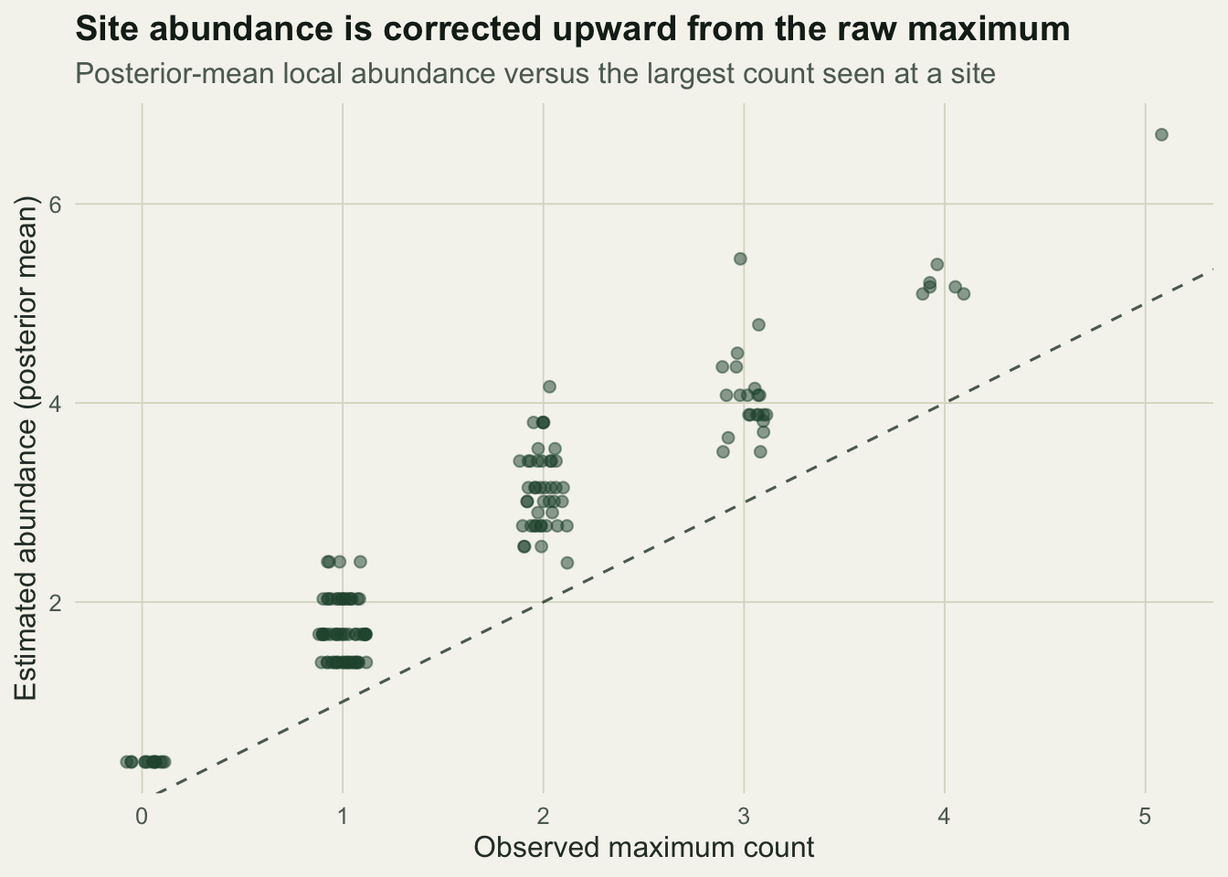 Scatter plot of estimated abundance versus observed maximum count; points sit above the dashed identity line, showing abundance is corrected upward from the raw maximum.