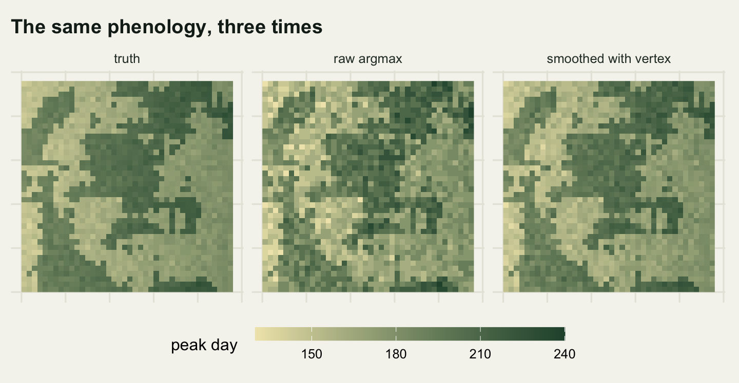 Three square maps side by side on warm off-white paper, sharing one colour scale below them running from pale yellow at day one hundred and fifty to dark green at day two hundred and forty. The left panel, labelled truth, shows irregular dark green blocks against a paler background with clean edges and smooth shading inside each region. The middle panel, labelled raw argmax, shows the same blocks but every cell differs from its neighbours, giving a strongly speckled appearance with isolated very pale cells inside the dark regions and isolated dark cells inside the pale ones. The right panel, labelled smoothed with vertex, looks much closer to the left panel, with the regions clearly readable and only a light grain left.
