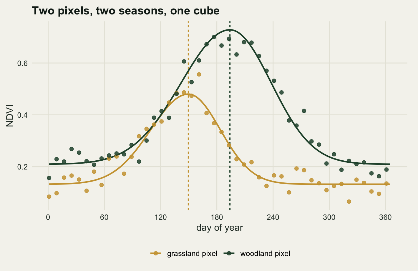 A line chart with day of year from zero to three hundred and sixty on the horizontal axis and NDVI from about one tenth to three quarters on the vertical axis, on warm off-white paper. A gold curve labelled grassland pixel sits on a flat winter baseline near an eighth, climbs through spring to a rounded peak just under a half at about day one hundred and fifty, then falls back to the baseline by early autumn. A dark green curve labelled woodland pixel starts higher near a fifth, rises later, reaches a broader peak just under three quarters at about day one hundred and ninety-five, and declines more slowly through autumn. Small filled dots in the matching colour scatter in a narrow band on either side of each curve. Two full height dashed vertical lines, one gold and one dark green, stand at the two peak positions.