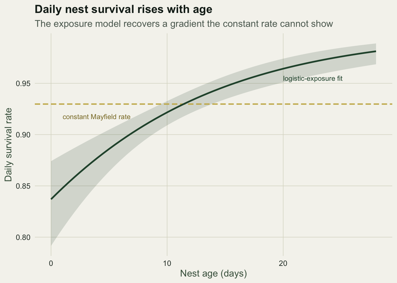 A rising curve of daily survival from about 0.85 to near 0.99 across nest age, wrapped in a confidence band, sitting above a flat dashed line for the constant Mayfield rate.