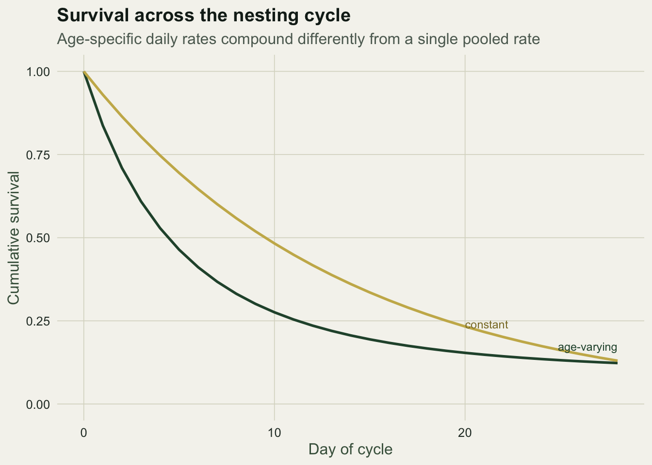 Two declining curves from one to about 0.12 over 28 days; the constant-rate curve drops faster early while the age-varying curve is steeper at first then flattens as daily survival improves.