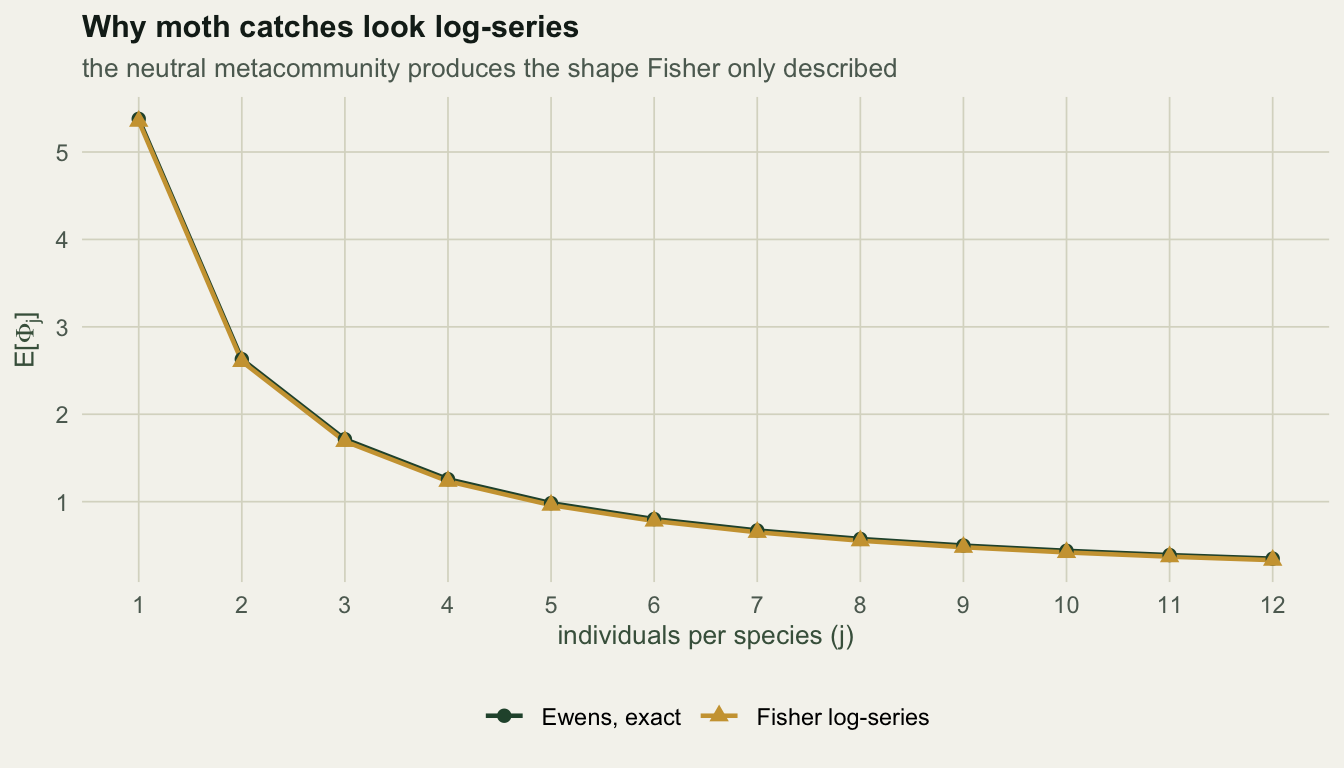Points and a line falling steeply from about five species with one individual down to under half a species at twelve individuals; the two curves nearly overlap.