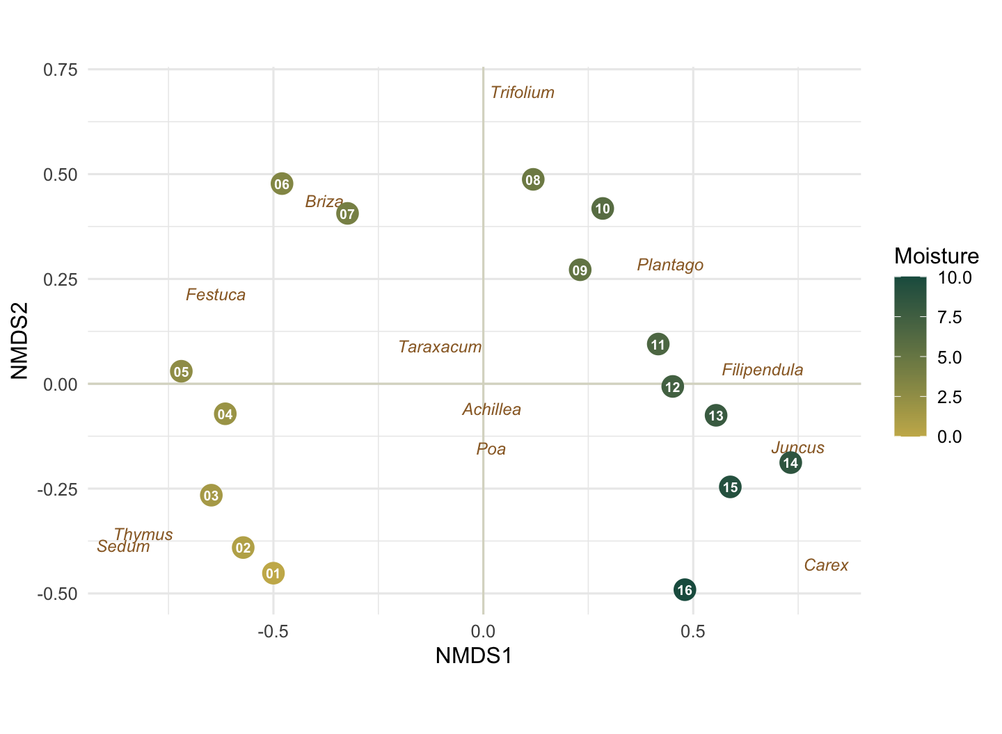 Scatter plot of the sixteen sites in two NMDS dimensions, coloured from gold for dry to green for wet. The sites are arranged left to right along the first axis in order of moisture. Species names sit near the sites where they are most abundant, with dry-ground plants on the left, wetland plants on the right, and generalists in the middle.
