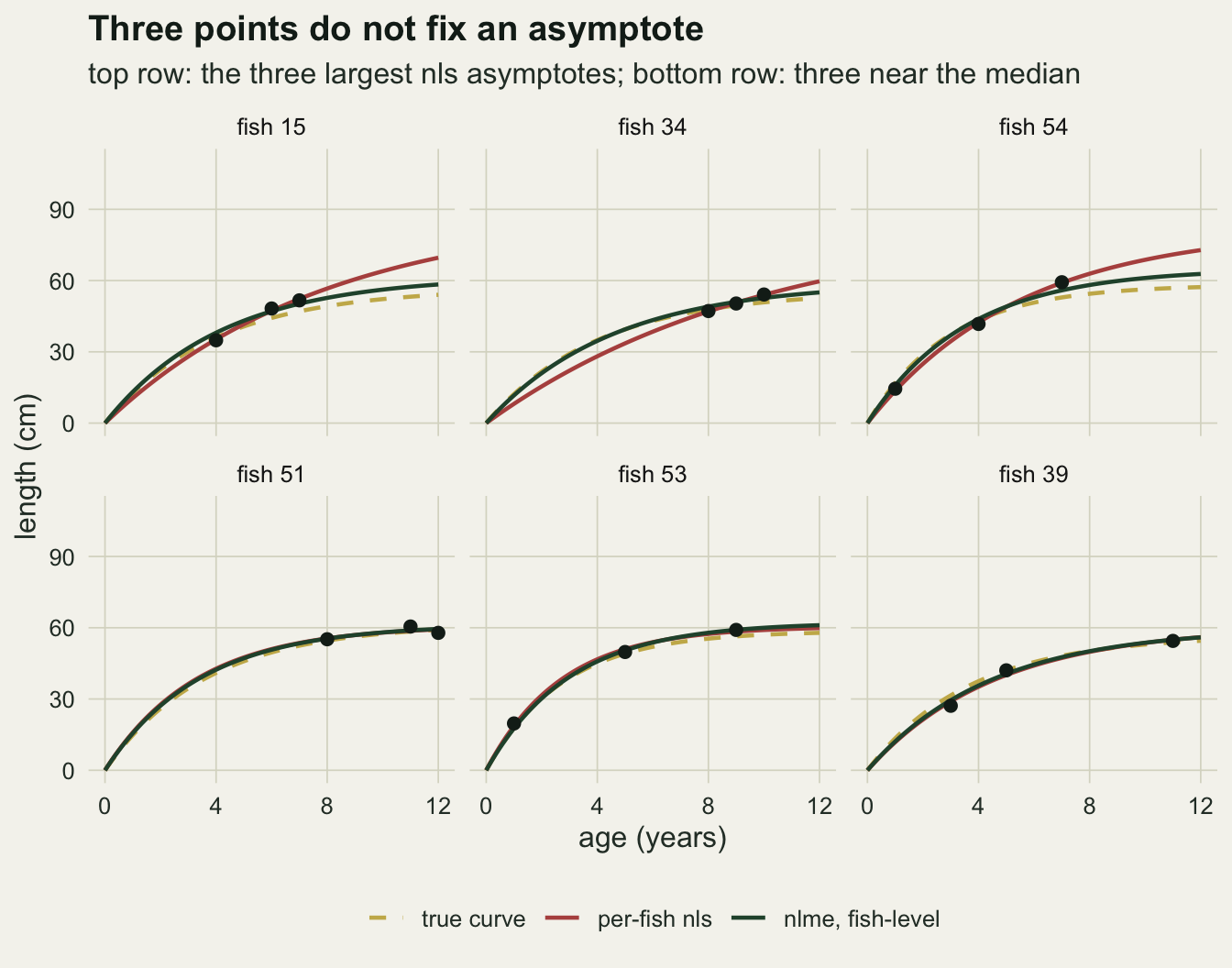 Six small panels of length against age from zero to twelve years, one fish each, with three black measurement points per panel. Each panel has a dashed gold true curve, a rust per-fish nls curve and a dark green mixed-model curve. In the top row the rust curves keep climbing to about sixty to seventy three centimetres at age twelve while the gold and green curves flatten in the mid fifties to low sixties. In the bottom row, where the points include ages near or past the plateau, all three curves nearly coincide near sixty centimetres.
