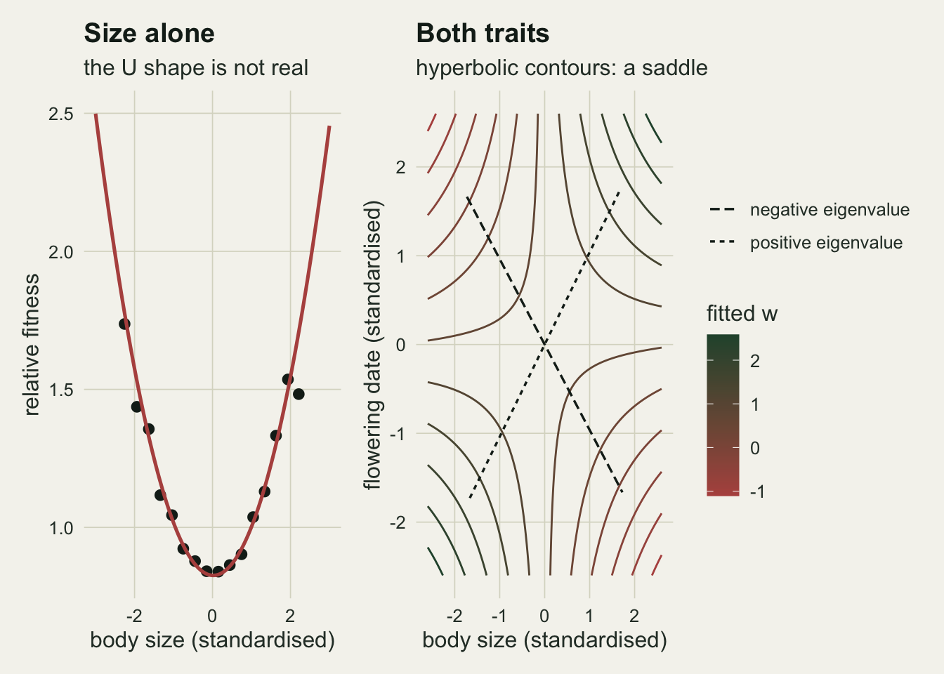 Two panels. The left panel plots binned mean relative fitness against standardised body size as a clean upward opening U, with a red fitted parabola running through the points. The right panel shows contours of the fitted two trait surface in the plane of body size and flowering date: hyperbolas that open towards the upper right and lower left corners, dark green where fitness is high and red where it is low, crossed by two dashed straight lines through the origin marking the eigenvectors, one rising and one falling.