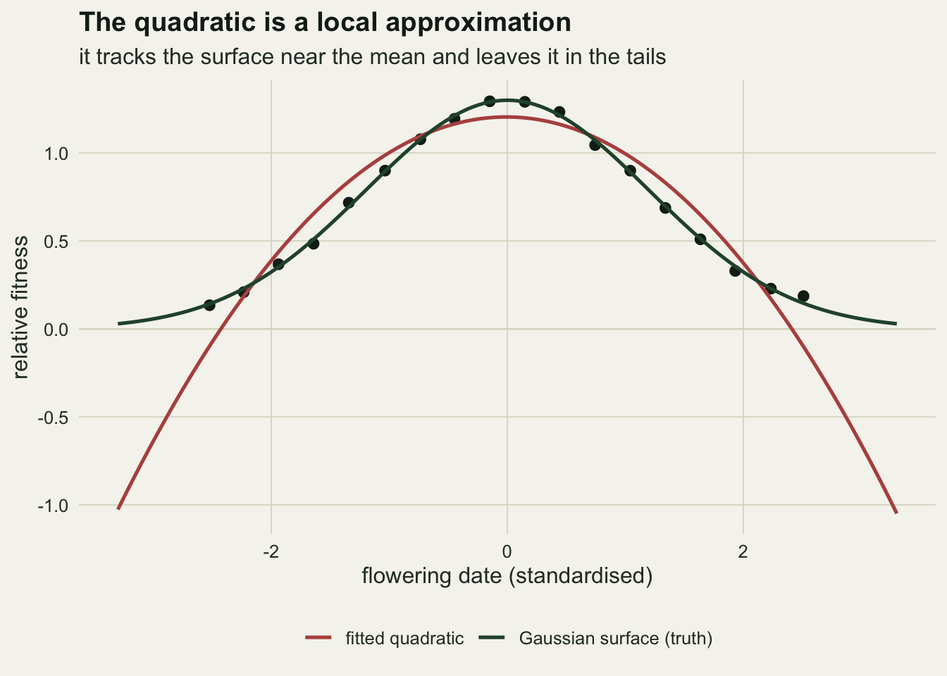 Relative fitness against standardised flowering date. Binned means form a hump that peaks above one at a flowering date of zero. A green curve for the true Gaussian surface passes through the points and flattens towards zero in both tails. A red parabola follows the green curve across the middle of the range, then keeps falling and crosses below zero a little beyond plus and minus two.