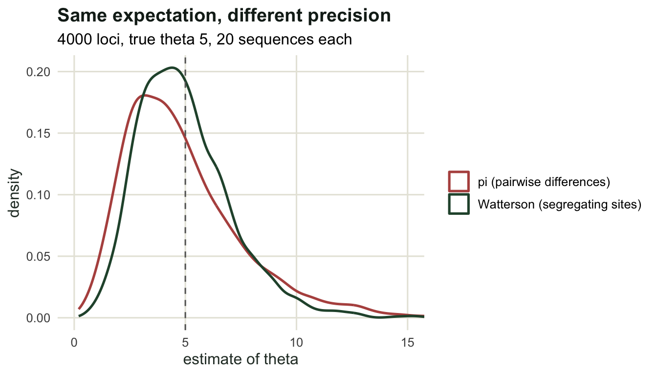 Two right-skewed density curves peaking near five; the pairwise-difference curve is visibly wider and flatter than the segregating-sites curve, with a dashed line at the true value.