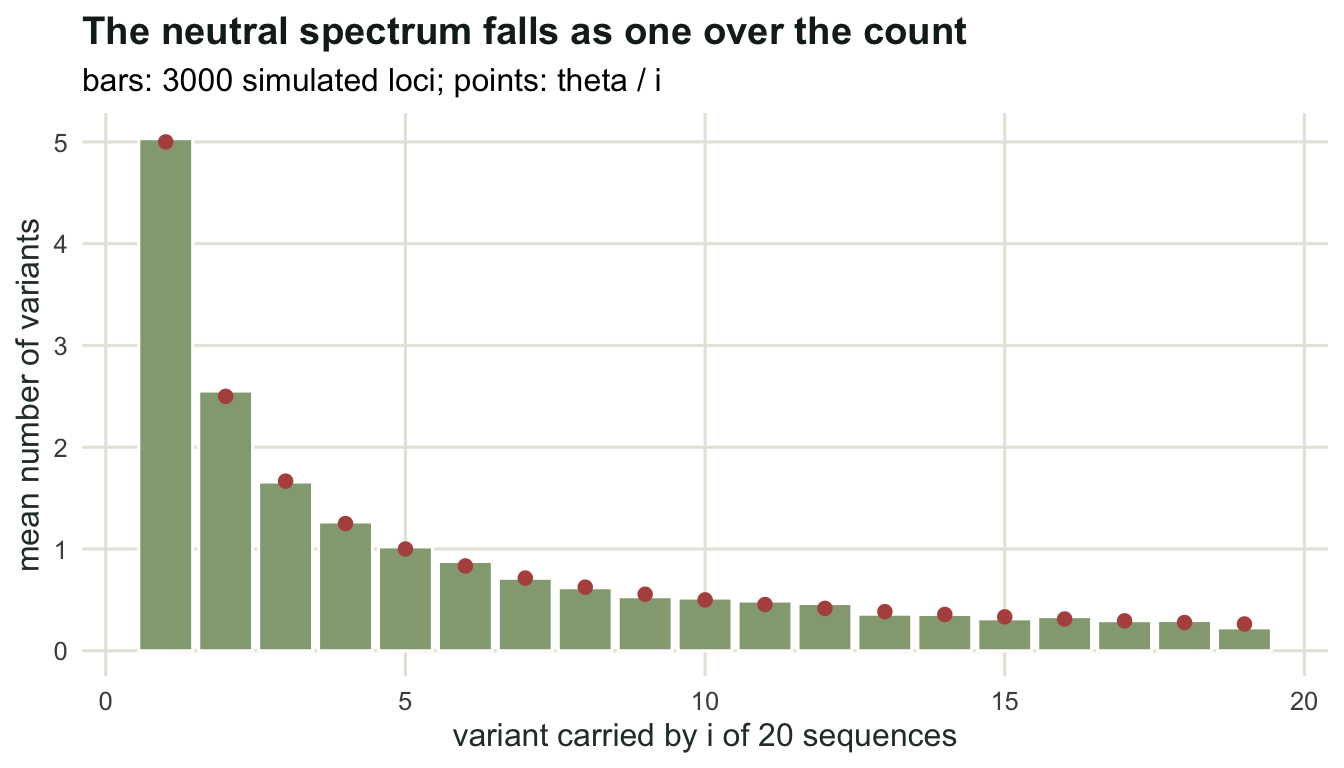 Bars falling steeply from five for singletons to below one for higher counts, with points marking the theta over i prediction on top of each bar.