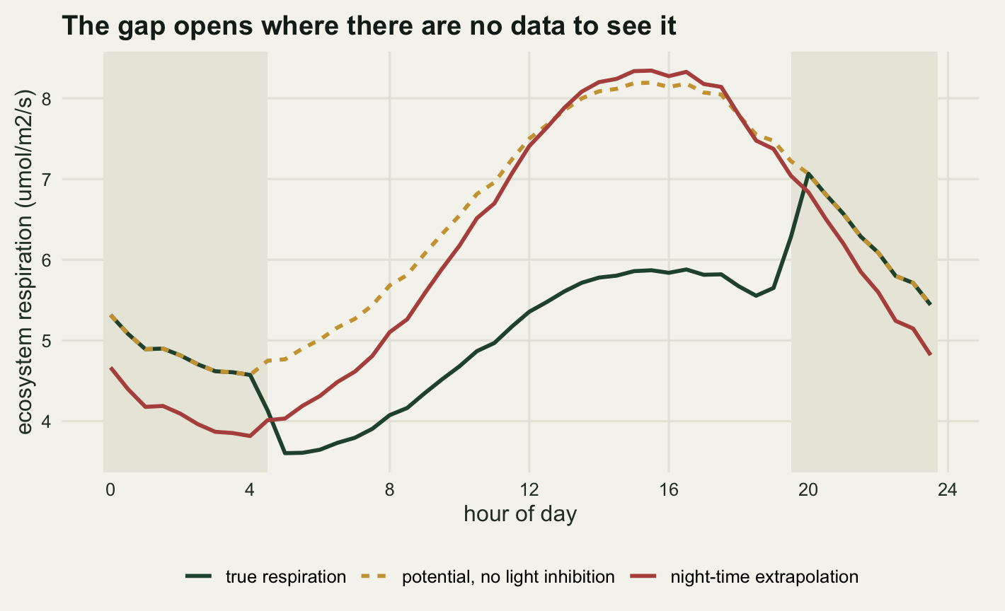 Three curves on warm off-white paper over a horizontal axis of hour of day from zero to twenty-four, with vertical shaded bands at the left and right edges marking the night-time hours. Inside the shaded bands a dark green curve for true respiration and a gold dashed curve for potential respiration lie exactly on top of one another, falling from about five and a third at midnight to about four and a half before dawn, while a red curve for the night-time extrapolation runs about three quarters of a unit below them. Once the light comes on the green curve drops sharply away from the gold one and then climbs to a peak near six in the afternoon. The gold curve climbs to about eight and the red curve crosses it and climbs slightly higher still, so the vertical gap between the red and the green curve is widest in the middle of the day. At dusk the green curve jumps back up to meet the gold one.