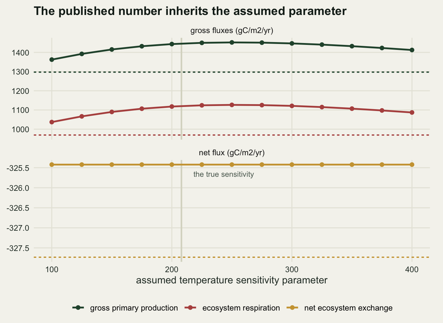 Two stacked panels on warm off-white paper sharing a horizontal axis of the assumed temperature sensitivity parameter from one hundred to four hundred. The upper panel, labelled gross fluxes, shows a dark green curve of round points for gross primary production rising from about thirteen hundred and sixty, peaking a little above fourteen hundred and fifty near an assumed value of two hundred and fifty, then declining to about fourteen hundred and ten, and below it a red curve of the same shape for ecosystem respiration between about one thousand and forty and one thousand one hundred and twenty-five. A dashed line marks the true value of each, and each dashed line lies below its own curve everywhere across the panel. The lower panel, labelled net flux and spanning only a couple of grams, shows a gold line that is perfectly straight and horizontal at about minus three hundred and twenty-five, with its dashed truth line just above it. A pale vertical line stands a little past two hundred in both panels, labelled the true sensitivity in the lower one.