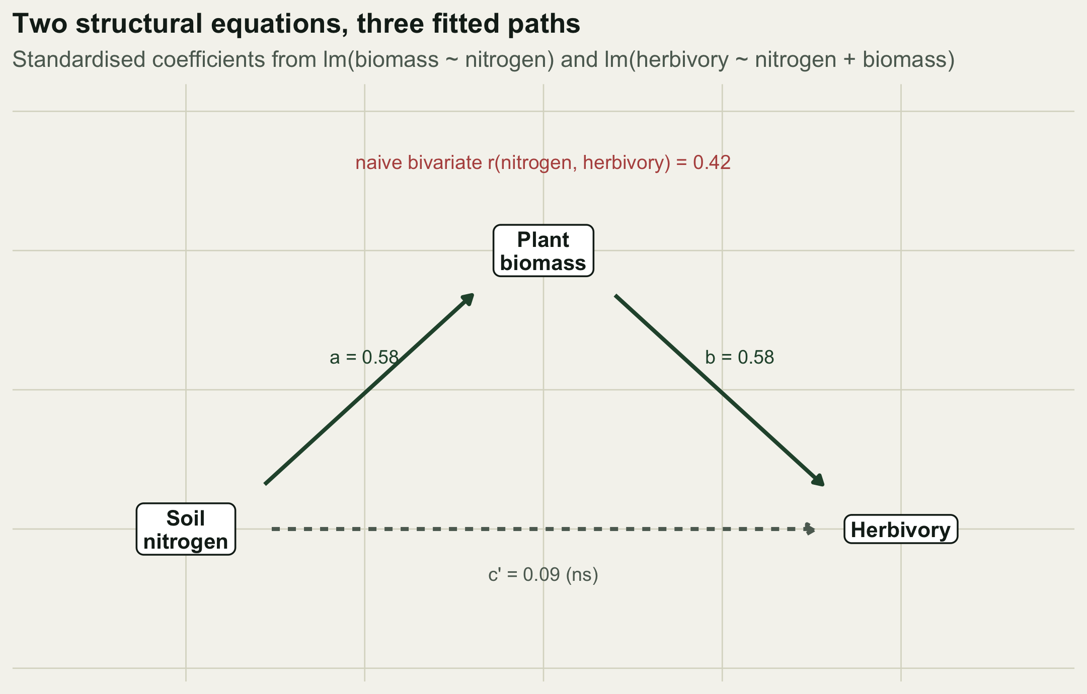 Path diagram with three nodes (soil nitrogen, plant biomass, herbivory). Solid forest-green arrows carry the fitted coefficients a and b; a dashed grey arrow along the bottom carries the near-zero direct coefficient c'. A red note above shows the naive bivariate correlation of 0.42.