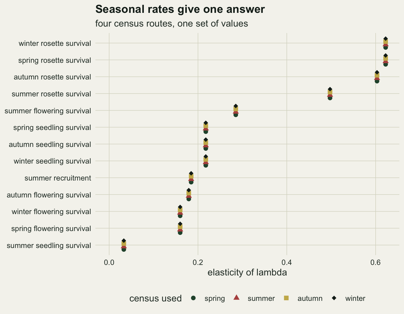 A dot chart on warm off-white paper with thirteen seasonal vital rates on the vertical axis and their elasticity of lambda on the horizontal axis from zero to just over 0.6. Each rate has four small markers, a green circle, red triangle, gold square and black diamond for the four census routes, stacked at exactly the same horizontal position. Spring and winter rosette survival are highest at about 0.62, then autumn rosette survival at 0.60 and summer rosette survival near 0.50; summer flowering survival sits near 0.29, three seedling survival rates near 0.22, summer recruitment near 0.18, three flowering survival rates between 0.16 and 0.18, and summer seedling survival lowest near 0.03.