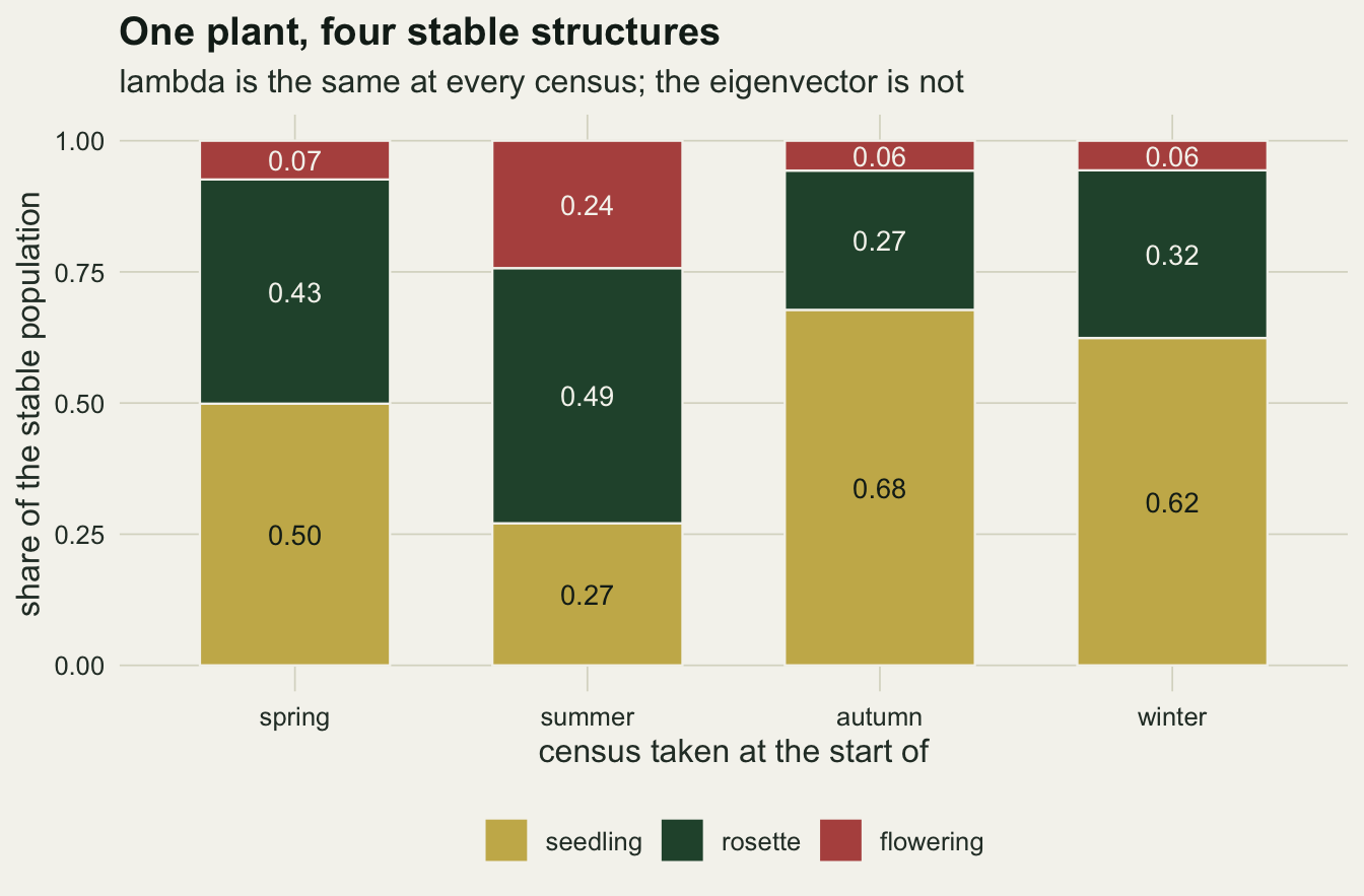 Four stacked columns on warm off-white paper, one for each census date from spring to winter, each divided into a gold seedling share at the bottom, a dark green rosette share in the middle and a red flowering share on top, with the share printed in each segment. Seedlings are 0.50 in spring, 0.27 in summer, 0.68 in autumn and 0.62 in winter. The red flowering segment is small at 0.06 or 0.07 except in summer, where it reaches 0.24.