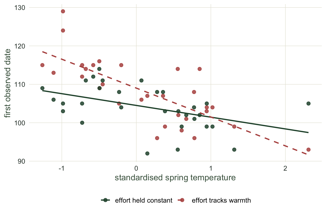 First observed date against standardised spring temperature. Open points with a steep dashed line show the confounded case; filled points with a shallower solid line show constant effort recovering the true slope.