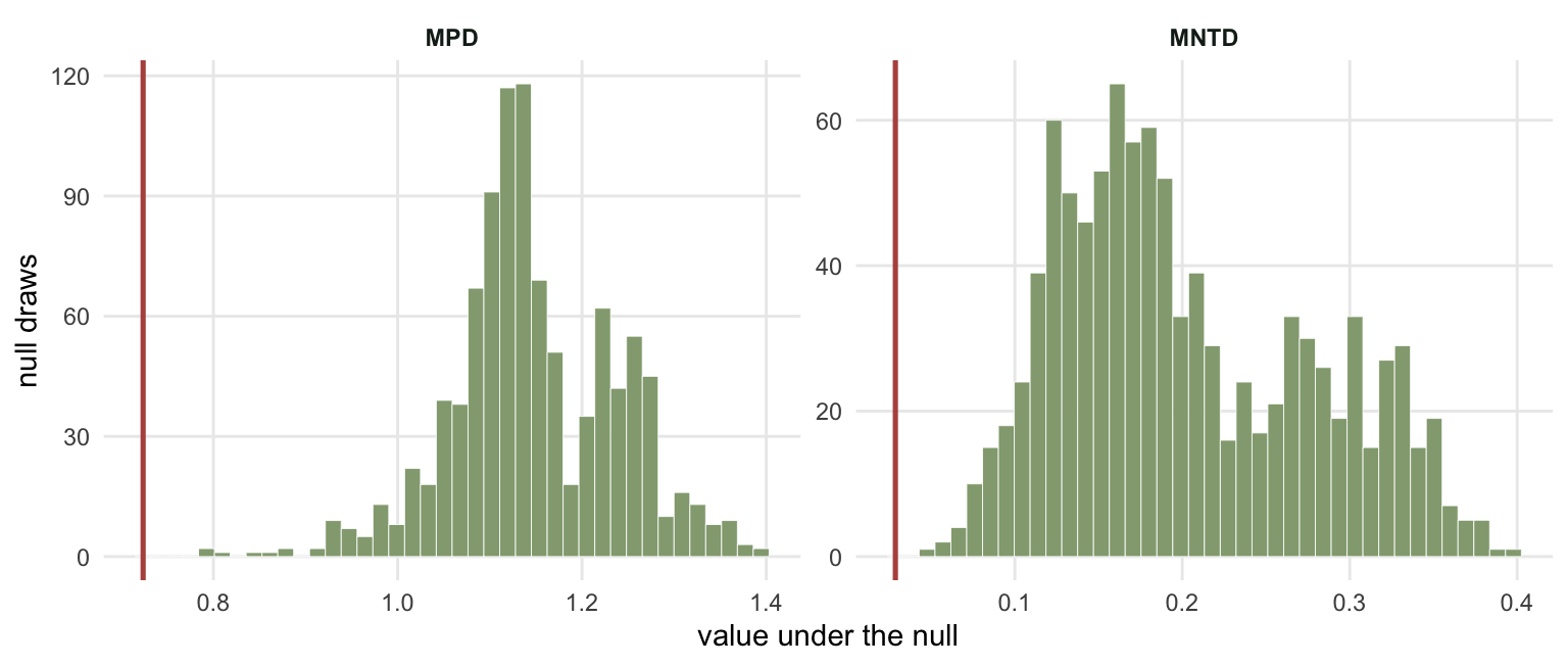 Two histograms of null values in sage green. The MPD null is centred near 1.15 and the observed value 0.72 sits well outside its left tail. The MNTD null is centred near 0.20 with a right skew, and the observed value 0.03 sits at its left edge.
