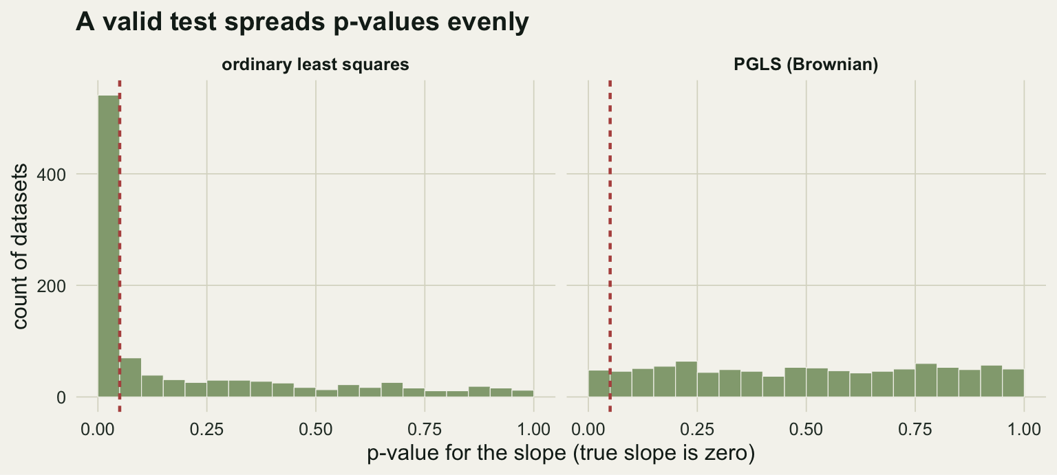Two histograms of p-values. The ordinary least squares panel is heavily skewed with a tall spike of low p-values below 0.05. The PGLS panel is roughly uniform across the whole range from zero to one.