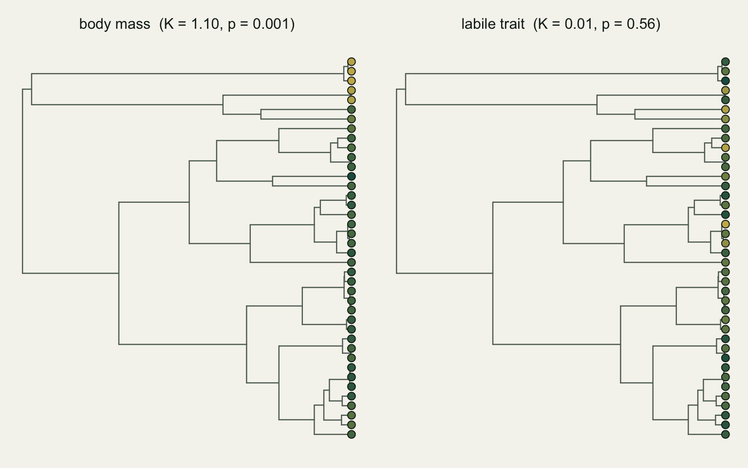 Two side-by-side phylogenies of the same 40 species. In the left tree, coloured by body mass, closely related tips have similar colours forming clades of gold and dark green. In the right tree, coloured by the labile trait, colours are mixed with no clustering.