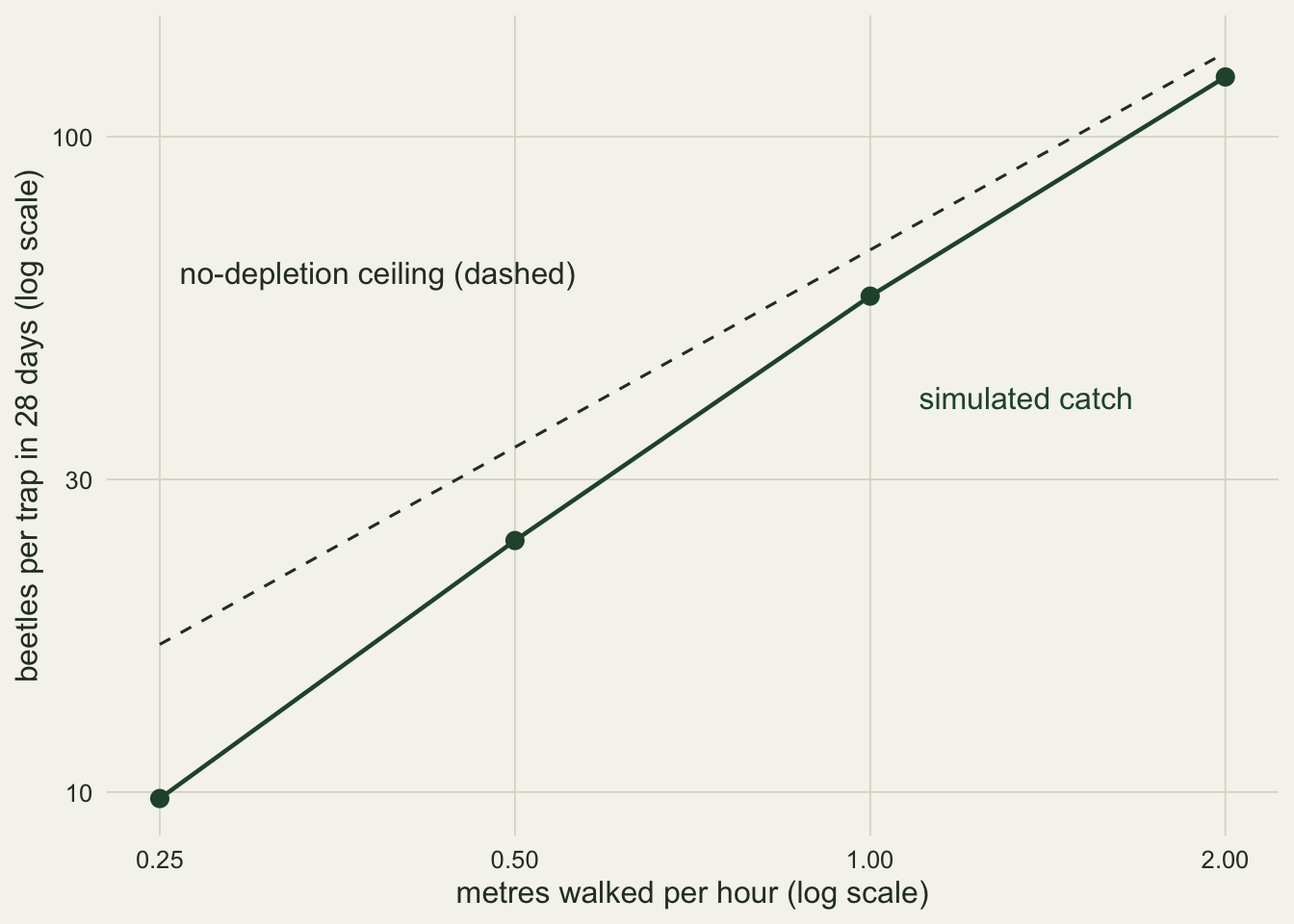 A log-log chart on warm off-white paper of beetles caught per trap in 28 days against metres walked per hour, at a quarter, a half, one and two. A solid dark green line through four points rises from just under ten at a quarter metre to about 120 at two metres. A dashed line labelled no-depletion ceiling rises less steeply from about seventeen to about 135, well above the green line at the left and almost touching it at the right, so the gap between them narrows as walkers get faster.