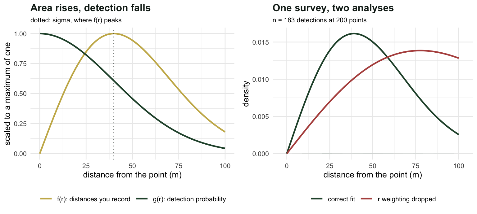 Left panel shows a decreasing half-normal detection curve alongside a hump-shaped density that starts at zero and peaks at sigma. Right panel shows a histogram of detection distances rising then falling, with a well-fitting curve and a badly flat curve from the analysis that ignores the r weighting.
