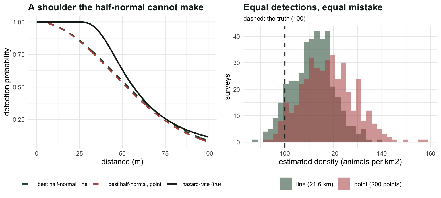 Left panel shows a shouldered hazard-rate detection curve with two half-normal curves that miss the shoulder. Right panel shows two histograms of density estimates, both above the true value, with the point transect one further out and wider.