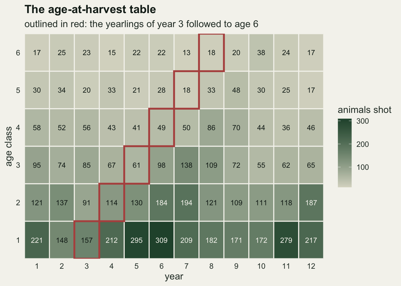 A grid of shaded tiles on warm off-white paper, twelve columns for years 1 to 12 and six rows for age classes 1 to 6, each tile printed with the number of animals shot. The bottom row of yearlings is the darkest green, with counts between 148 and 309, and counts fall with age to between 13 and 38 in the top row. A red outline steps diagonally up and to the right from year 3, age 1, with 157 animals, to year 8, age 6, with 18, following one cohort. A legend on the right shades from pale grey to dark green for up to about 300 animals shot.