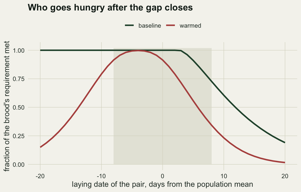 Two curves against laying date offset in days. The baseline curve is a broad plateau near one that falls away slowly on both sides. The warmed curve is a narrow peak reaching one only within a few days of the mean and dropping steeply outside it. A shaded vertical band marks plus and minus eight days.