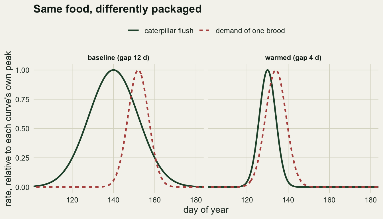 Two panels against day of year, each showing a food curve and a demand curve scaled to their own peaks. In the baseline panel the food curve is wide and sits to the left of a narrower demand curve. In the warmed panel the food curve is narrower than the demand curve and the two peaks nearly coincide.