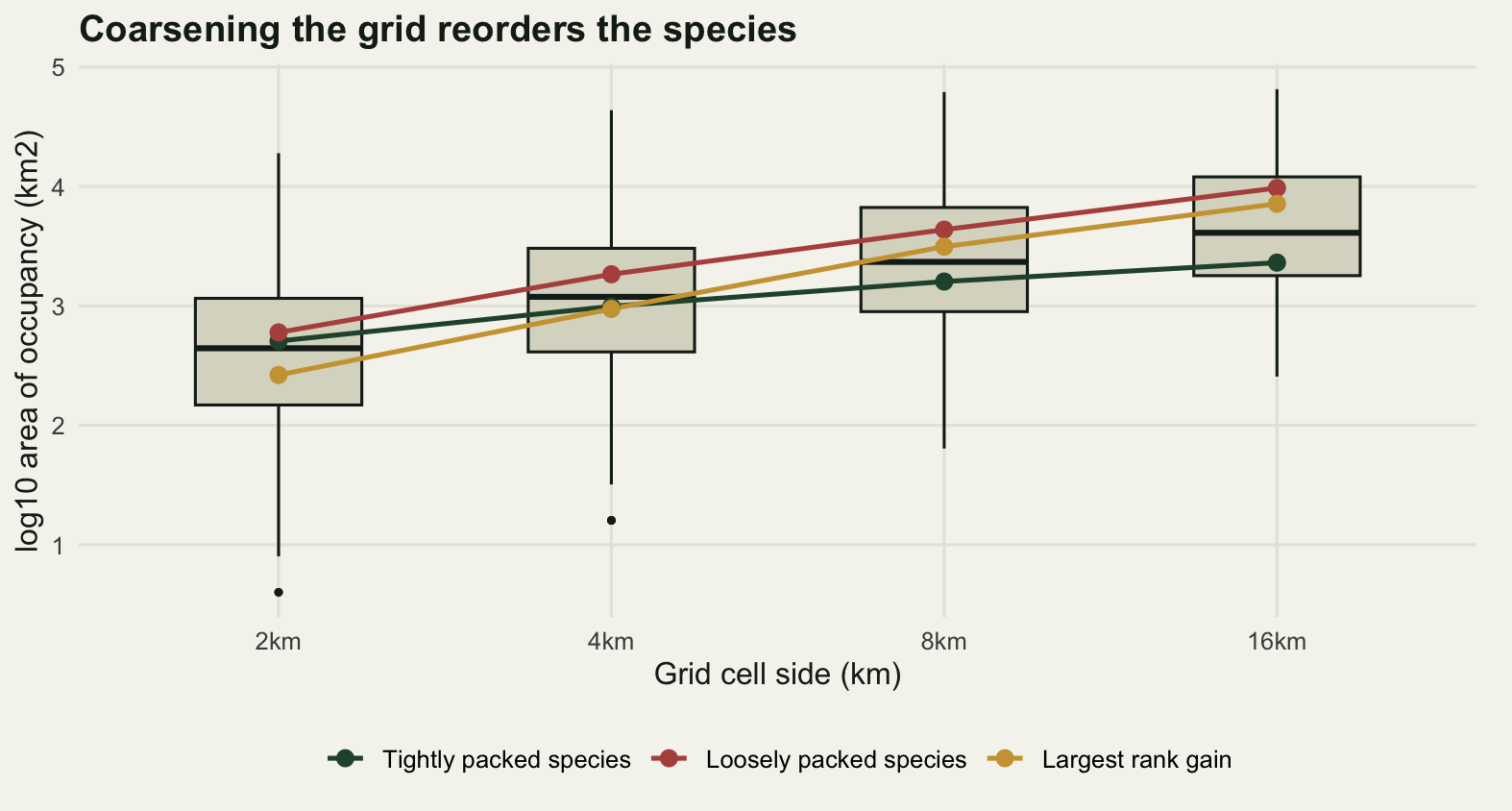 Four box plots of log base ten area of occupancy, one for each cell side of two, four, eight and sixteen kilometres, filled a neutral grey with dark outlines. They shift upward from left to right, the whiskers shortening noticeably while the boxes themselves stay about the same height. Three lines with round points are drawn over them: a dark green line for the tightly packed species that rises gently and stays low, a red line for the loosely packed species that rises more steeply from almost the same starting point, and a gold line for the species that gains the most rank, starting below both of the others and finishing above the green line.