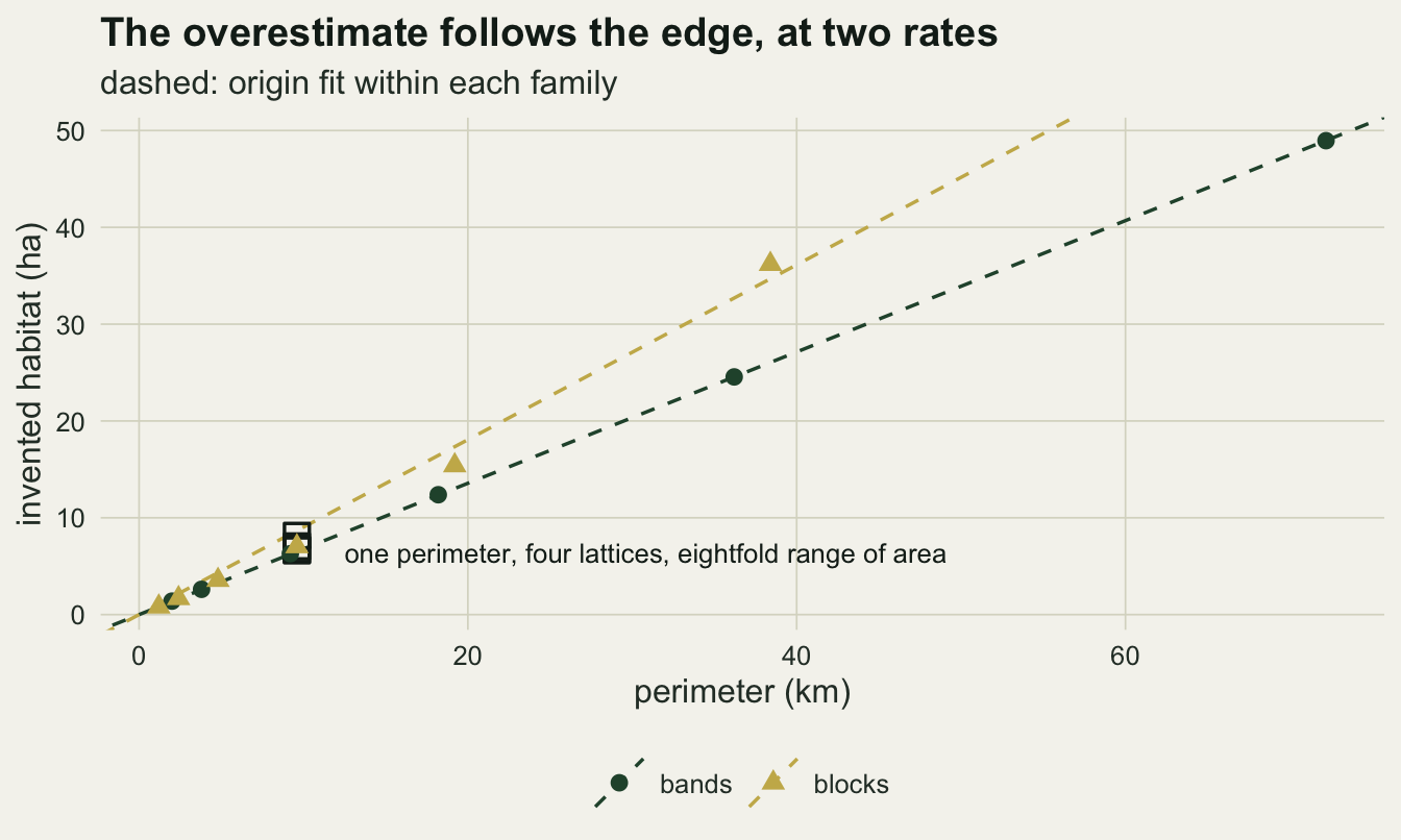 A scatter plot of invented habitat in hectares against perimeter in kilometres, on paper. Two dashed lines run out of the origin, a dark green one and a steeper gold one, close together for the first few kilometres and clearly apart by twenty. Six dark green circles for the band landscapes lie on the green line all the way out to seventy two kilometres and forty nine hectares. The six gold triangles for the block lattices do not lie on the gold line: five of them sit below it, most visibly at about nineteen kilometres, where the triangle is at fifteen hectares and the gold line is at seventeen, and only the last, at about thirty eight kilometres and thirty six hectares, sits above it. That last triangle is still far above where the green line runs at the same perimeter. Four hollow dark squares are stacked almost on top of one another near ten kilometres at about seven hectares, with a label to their right saying four lattices share one perimeter over an eightfold range of area.