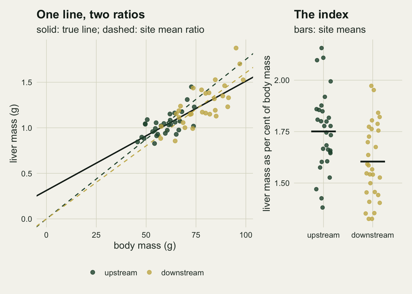 Two panels. The left panel is a scatter of liver mass, from about 0.8 to 1.9 grams, against body mass, from about 45 to 100 grams, with the axes extended to zero. Green upstream fish sit mostly between 45 and 75 grams and gold downstream fish mostly between 55 and 100 grams, all scattered around one solid dark line that meets the liver axis at about 0.3 grams. Two dashed lines start at the origin, a green one and a slightly flatter gold one; both are steeper than the solid line, run below it at small body masses and cross it inside the cloud of points. The right panel shows the index, liver mass as per cent of body mass, as jittered points for each site with a horizontal bar at the site mean, near 1.75 upstream and near 1.60 downstream.