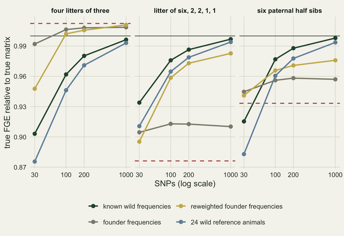 Three side by side panels on warm off-white paper for four litters of three, a litter of six with 2, 2, 1, 1, and six paternal half sibs. Each plots true FGE relative to the true matrix, from about 0.87 to 1.01, against 30, 100, 200 and 1000 SNPs on a log axis, with a solid line at 1 and a dashed red line for the pedigree. In the first panel the dashed line lies at the top near 1.01; the dark green known frequency and blue reference sample lines rise from about 0.90 and 0.88 to near 0.99, while grey founder frequency and gold reweighted lines sit near or above 1 from 100 SNPs. In the middle panel the dashed line lies at the bottom near 0.876; the dark green, blue and gold lines climb from about 0.90 to 0.93 up to 0.98 to 1.00, while the grey founder frequency line stays flat near 0.91. In the third panel the dashed line is near 0.93; dark green and blue lines climb to about 0.99, gold to about 0.975 and grey levels off near 0.957.