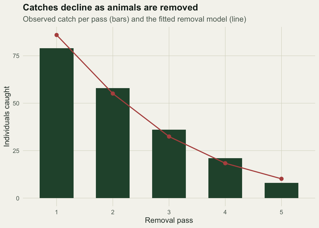 Bar chart of catches for passes one to five, falling from about 79 to 8, with a red curve tracking the tops of the bars.