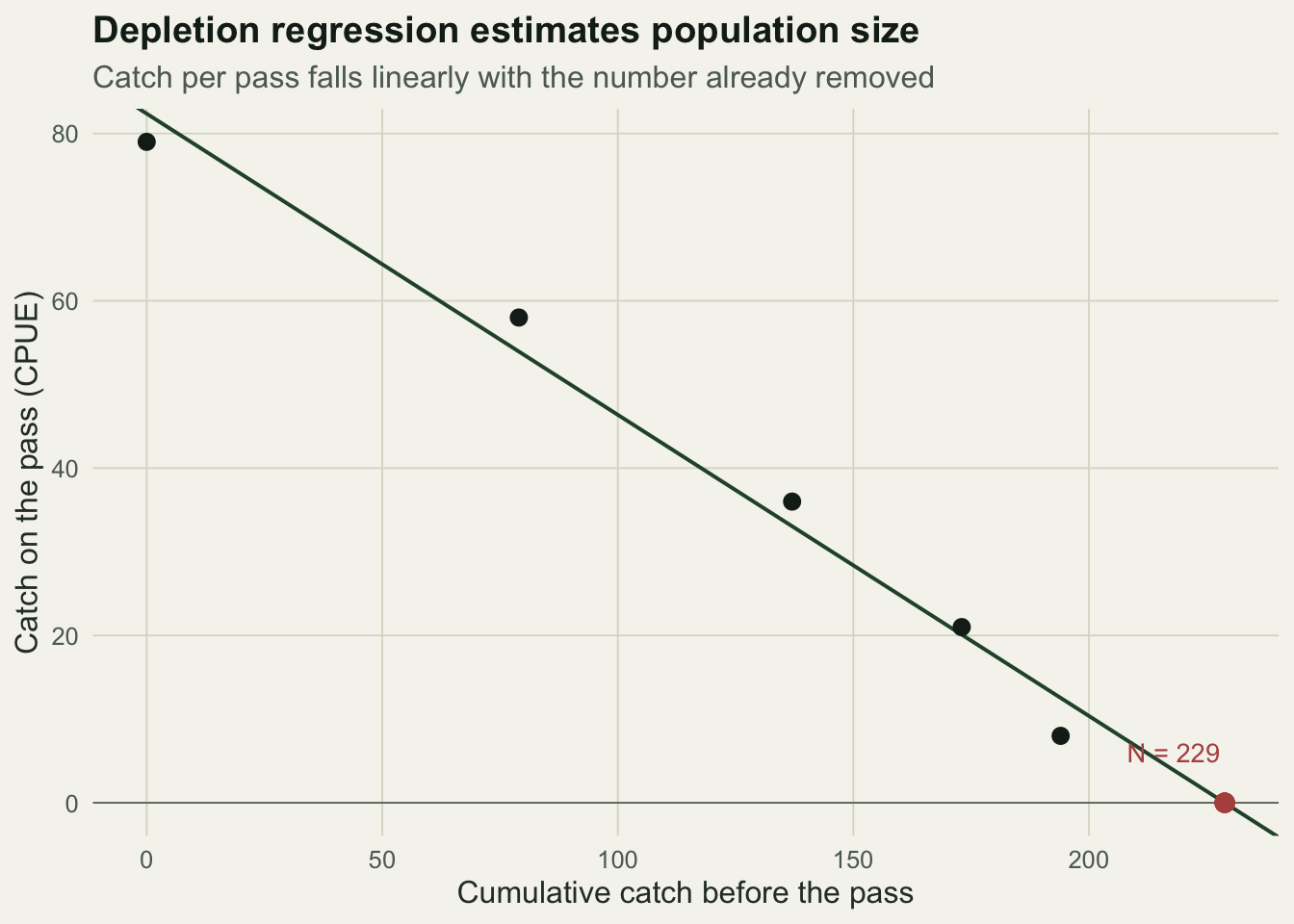 Scatter plot of catch versus cumulative catch already removed, with a straight declining fit crossing the x-axis near 229, marked as the population estimate.