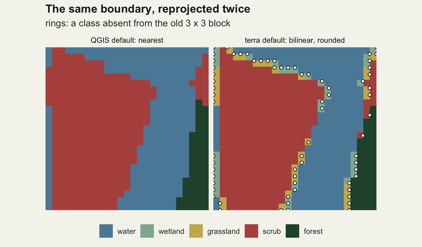 Two square map panels of the same small window, side by side, coloured by land-cover class: water blue, wetland pale green, grassland gold, scrub rust and forest dark green. Both show a large rust scrub patch on the left, water to its right and along the top, and a dark green forest strip at the lower right. The left panel, QGIS default: nearest, holds only those three colours, with stepped boundaries. The right panel, terra default: bilinear, rounded, has the same patches edged by strips one cell wide of gold grassland and pale green wetland, along the scrub and water boundary, the water and forest boundary and the left edge, and almost every strip cell carries a small white ring; two single ringed rust cells sit on the water and forest boundary. A legend of the five classes runs along the bottom.